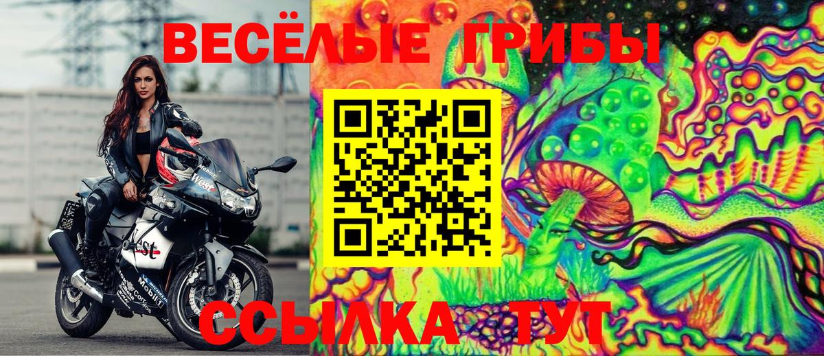 Сокол  Псилоцибиновые грибы прущие грибы  Псилоцибиновые грибы MAGIC MUSHROOMS  Вход с VPN 
